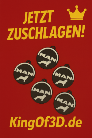 5x Schlüsselanhänger MAN Truck - Löwe