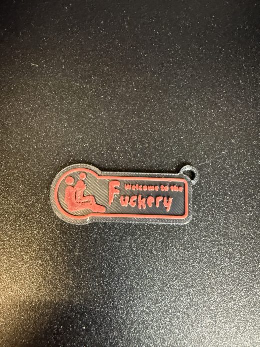 5er Set Schlüsselanhänger „Welcome to the Fuckery“ – 3D-Druck – ca. 4–5 cm