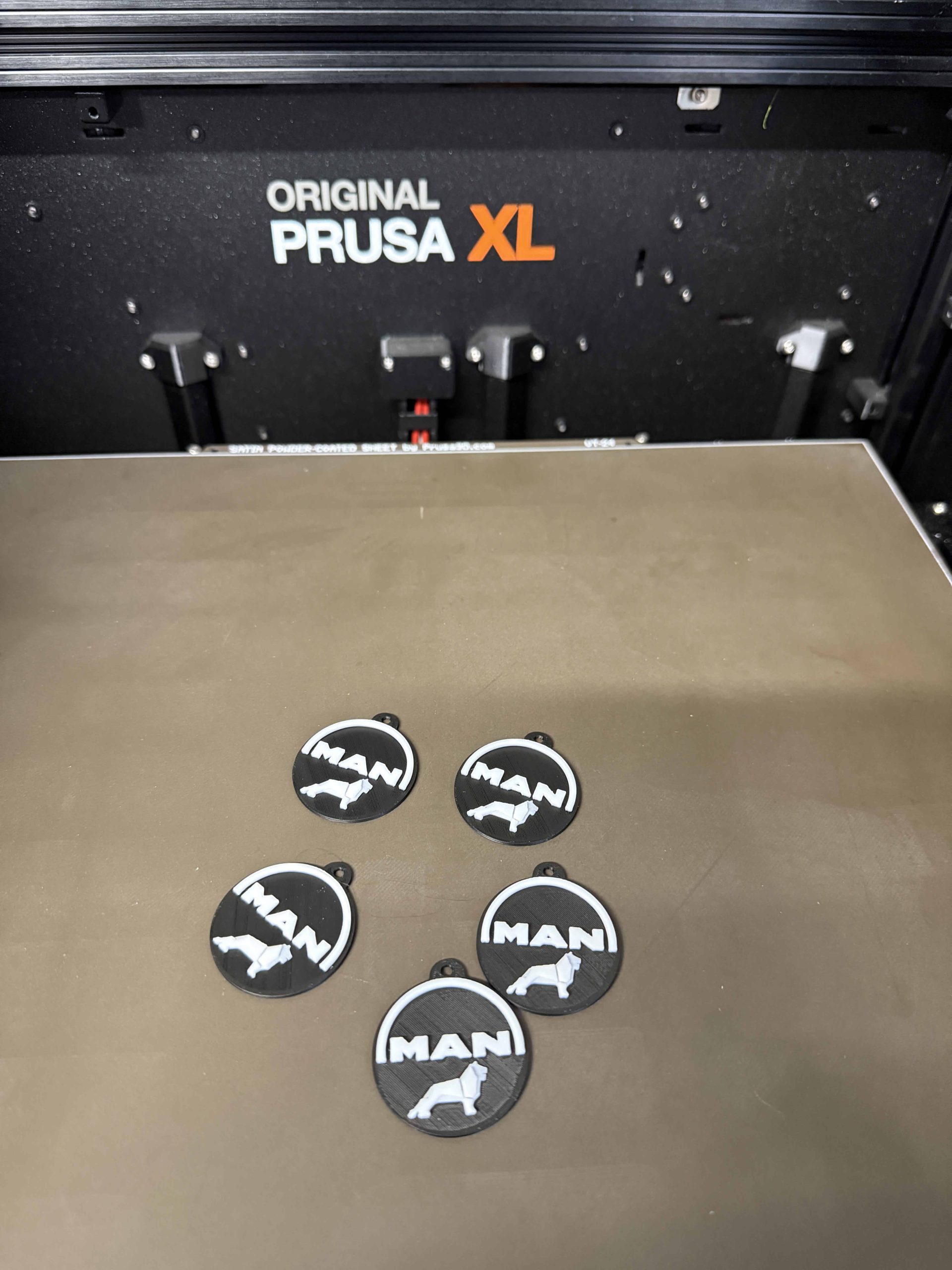 5x Schlüsselanhänger MAN Truck - Löwe – Bild 2