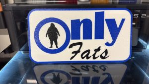ONLY FATS Lkw Schild 25x12 cm| Provokantes Trucker Kabinen-Statement