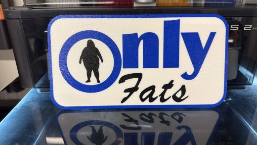 ONLY FATS Lkw Schild 25x12 cm| Provokantes Trucker Kabinen-Statement